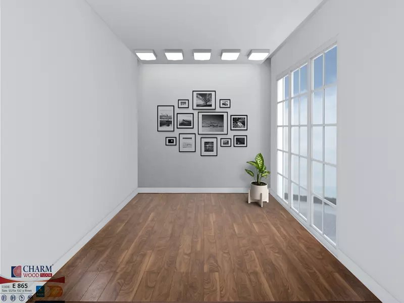 San go can tho charm 8mm e 865 pc