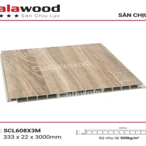 San chiu luc can tho galawood viet nam scl608